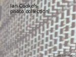  Ian Cooke's photos
